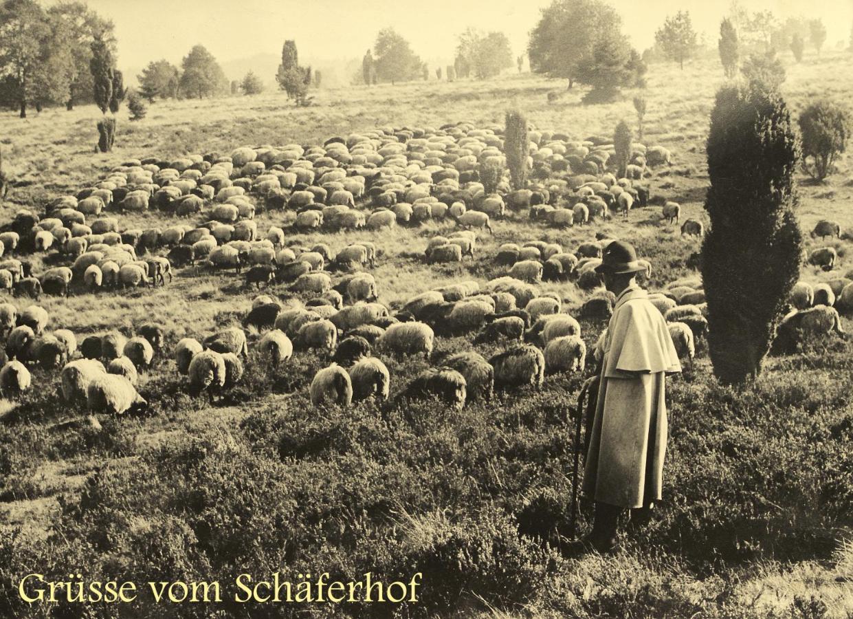 Hotel Schaeferhof Schneverdingen Buitenkant foto